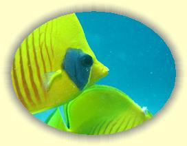 20090628_016 * 3072 x 2304 * (2.13MB)