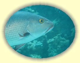 20090628_017 * 3072 x 2304 * (2.41MB)