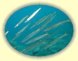 20090628_023 * 2409 x 1824 * (420KB)