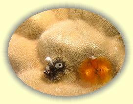 20090628_030 * 2050 x 1549 * (557KB)