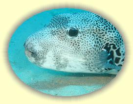 20090629_002 * 3072 x 2304 * (3.12MB)