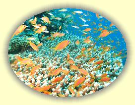 20090629_003 * 3072 x 2304 * (3.26MB)