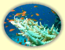 20090629_007 * 3072 x 2304 * (2.44MB)