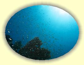 20090629_008 * 3072 x 2304 * (2.11MB)