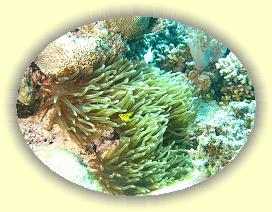 20090629_013 * 3072 x 2304 * (4.34MB)