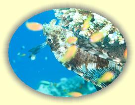 20090629_021 * 3072 x 2304 * (2.57MB)