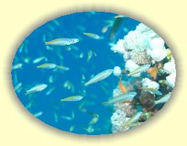 20090629_022 * 3072 x 2304 * (2.2MB)