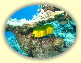 20090629_024 * 3072 x 2304 * (3.64MB)