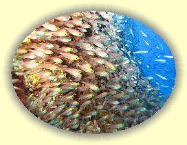 20090629_025 * 3072 x 2304 * (1.16MB)