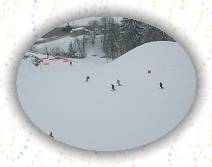 IMG_0096 * IMG_0096.JPG * 3072 x 2304 * (489KB)