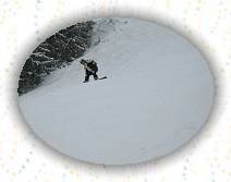 IMG_0098 * IMG_0098.JPG * 3072 x 2304 * (469KB)