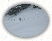 IMG_0103 * IMG_0103.JPG * 3072 x 2304 * (599KB)