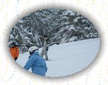 IMG_0129 * IMG_0129.JPG * 3072 x 2304 * (898KB)