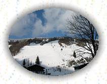 IMG_0155 * IMG_0155.JPG * 3072 x 2304 * (1.1MB)