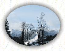 IMG_0157 * IMG_0157.JPG * 3072 x 2304 * (802KB)