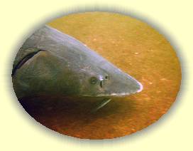 IMG_0020 * 3072 x 2304 * (3.51MB)