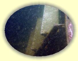 IMG_0046 * 3072 x 2304 * (2.96MB)