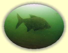 IMG_0069 * 3072 x 2304 * (2.72MB)