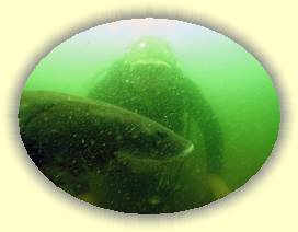 IMG_0129 * 3072 x 2304 * (1.55MB)