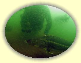 IMG_0143 * 3072 x 2304 * (2.41MB)