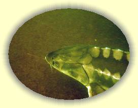 IMG_0154 * 3072 x 2304 * (3.23MB)