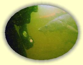 IMG_0158 * 3072 x 2304 * (3.36MB)