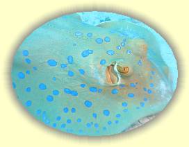 20100914_003 * 3072 x 2304 * (2.34MB)