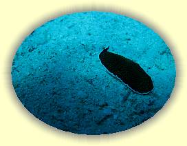 20100914_004 * 3072 x 2304 * (2.78MB)