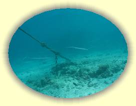 20100914_007 * 2697 x 2023 * (2.68MB)