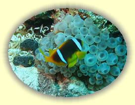 20100915_007 * 3072 x 2304 * (3.65MB)