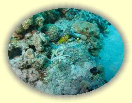 20100915_008 * 3072 x 2304 * (3.61MB)