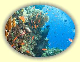 20100915_016 * 2796 x 2103 * (3.81MB)