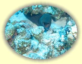 20100915_017 * 3072 x 2304 * (4.16MB)