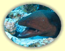 20100915_018 * 3072 x 2304 * (3.02MB)