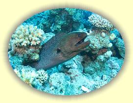 20100915_022 * 3072 x 2304 * (4.32MB)