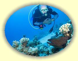 20100915_024 * 2726 x 2045 * (3.43MB)