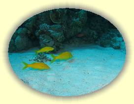 20100915_026 * 2020 x 1515 * (2.18MB)