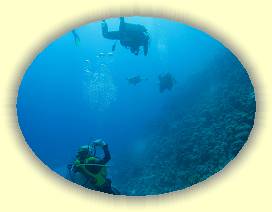 20100915_028 * 3072 x 2304 * (2.27MB)