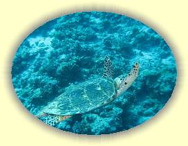 20100915_030 * 2684 x 2010 * (3.29MB)