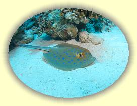 20100915_033 * 3072 x 2304 * (3.23MB)