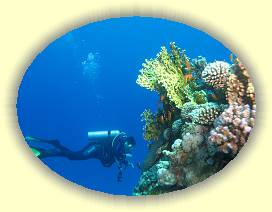 20100915_035 * 3072 x 2304 * (2.65MB)