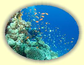 20100915_036 * 3072 x 2304 * (2.94MB)