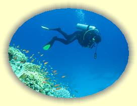 20100915_037 * 3072 x 2304 * (2.29MB)