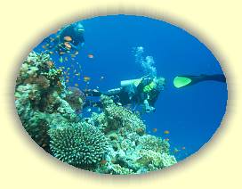 20100915_038 * 3072 x 2304 * (2.93MB)