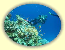 20100915_039 * 3072 x 2304 * (2.95MB)