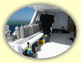 20100915_046 * 3072 x 2304 * (2.59MB)