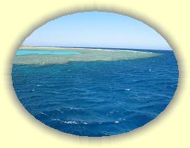 20100915_049 * 3072 x 2304 * (3.19MB)