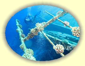 20100916_003 * 3072 x 2304 * (3.1MB)