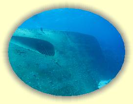 20100916_004 * 3072 x 2304 * (2.39MB)