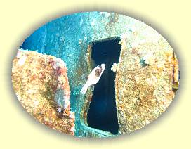 20100916_009 * 3072 x 2304 * (3.58MB)